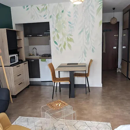 Apartment Joli Proche Des Thermes Aix-les-Bains